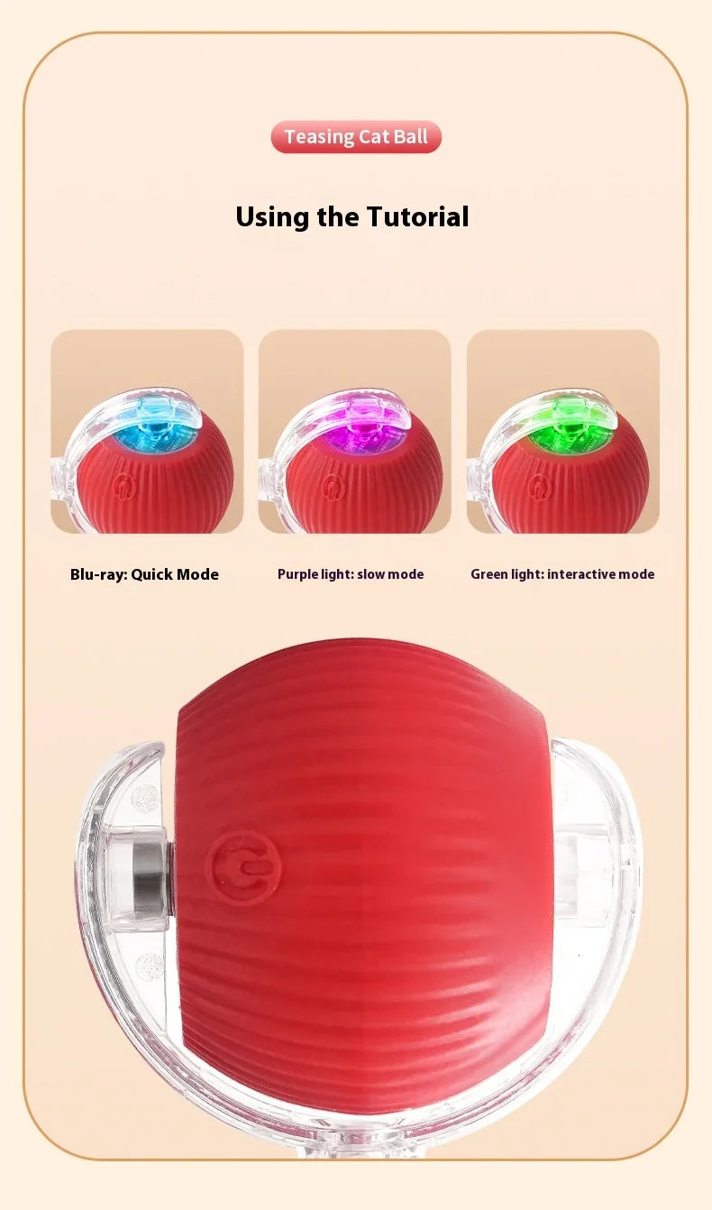Tail Chasers automatic cat ball toy with three light modes for interactive playtime with your cat