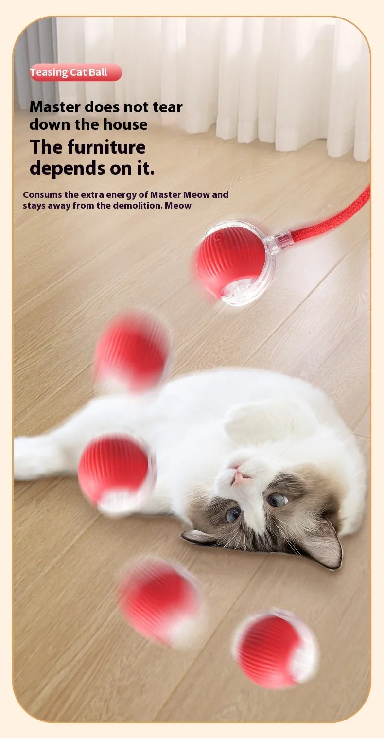 Tail Chasers automatic cat ball toy enticing a playful cat on the floor for active fun