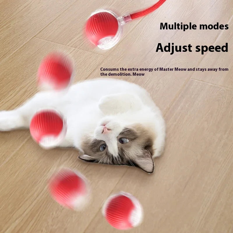 Tail Chasers automatic cat ball toy in action with a cat playing on the floor
