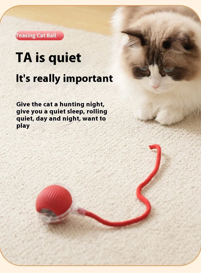 Interactive automatic cat ball toy in red, designed to keep cats entertained and engaged while playing.