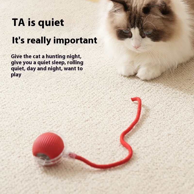 Interactive Tail Chasers automatic cat ball toy designed for quiet play, encouraging cat entertainment while resting