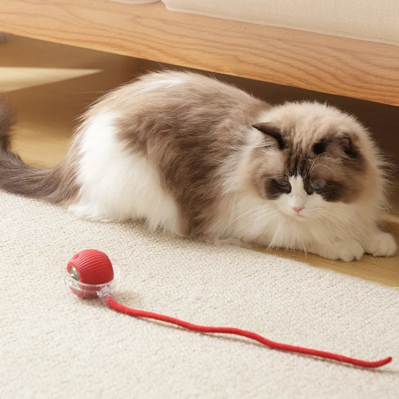 Tail Chasers automatic cat ball toy with a red design for interactive playtime with cats