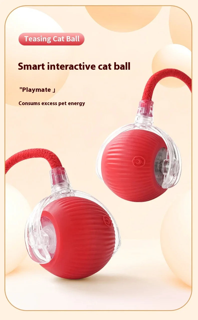 Tail Chasers automatic cat ball toy designed to consume excess pet energy and engage cats in play