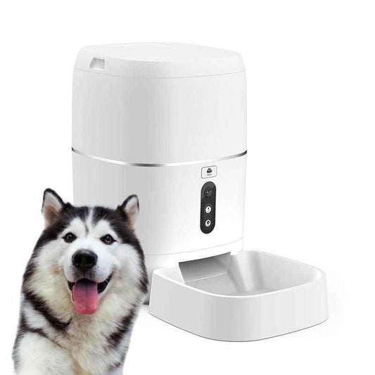 Purrfect Pet Kingdom automatic pet food dispenser in white with attached feeding bowl and happy husky dog