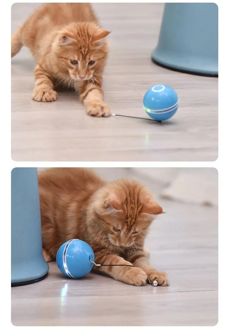 Automatic Smart Cat Toys Ball by Stevvex in pink, featuring LED lights and feather bells, designed to stimulate cats' hunt...
