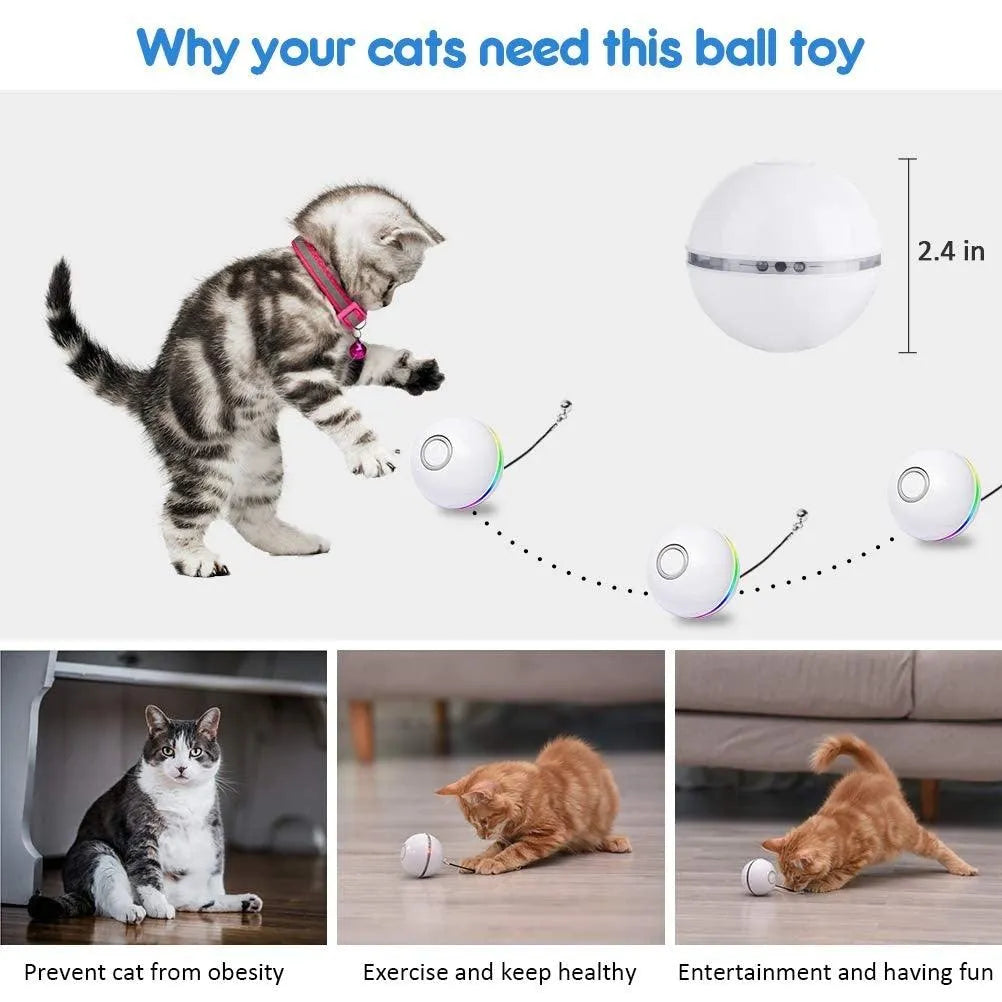 Automatic Smart Cat Toys Ball by Stevvex in pink, featuring colorful LED lights and feather bells, perfect for interactive...