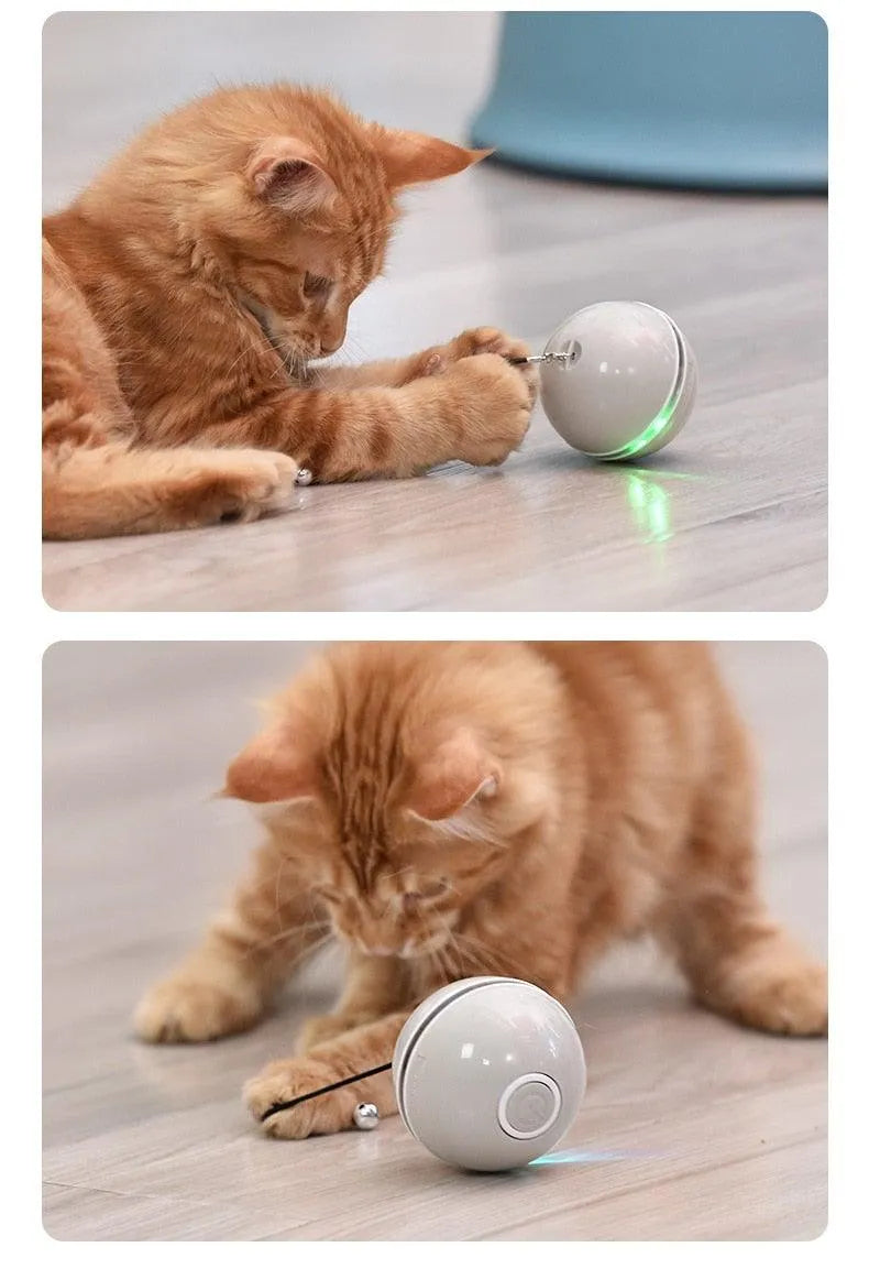 Automatic Smart Cat Toys Ball by Stevvex in pink, featuring colorful LED lights and feather bells, perfect for stimulating...