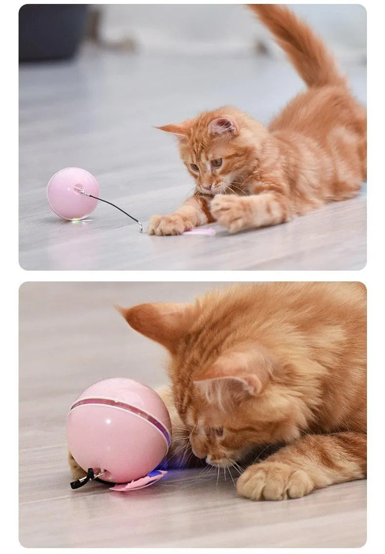 Automatic Smart Cat Toys Ball by Stevvex in pink, featuring colorful LED lights, feather bells, and a USB rechargeable des...