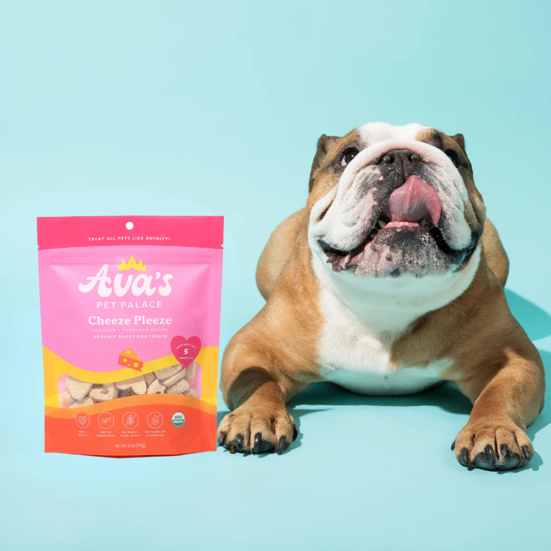 Ava's Cheeze Pleeze gourmet dog treats bag next to a happy bulldog on a bright background