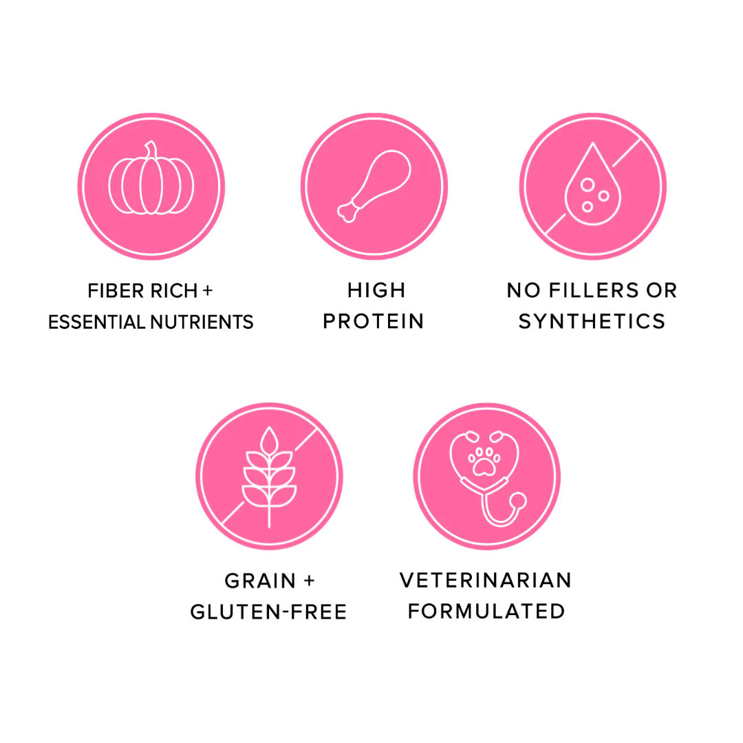 Ava's Pet Dog Treats featuring freeze dried turkey dog treats with high protein and no fillers