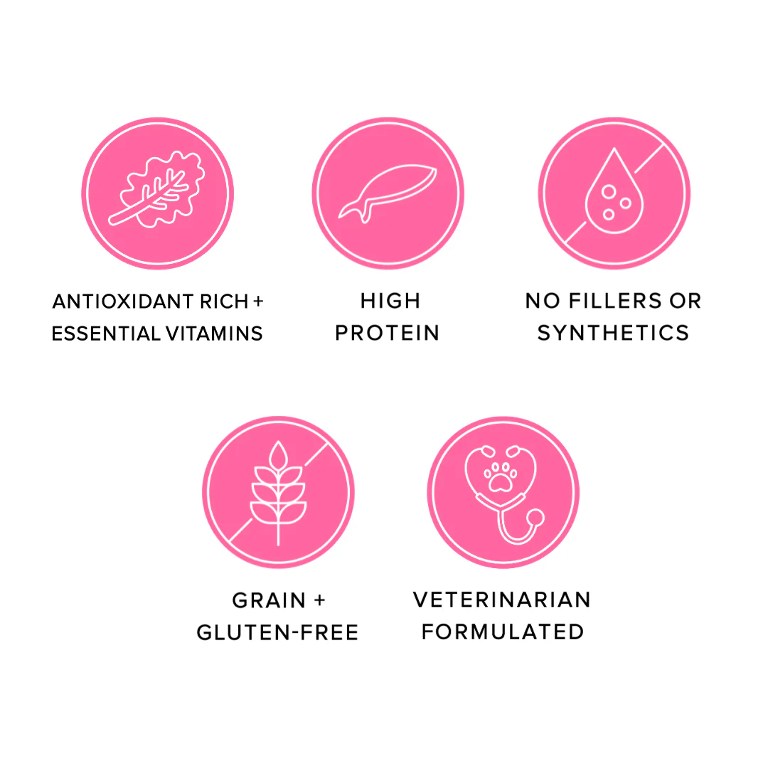 Ava's Pet Dog Treats features, including grain free salmon dog snacks, high protein and no fillers.