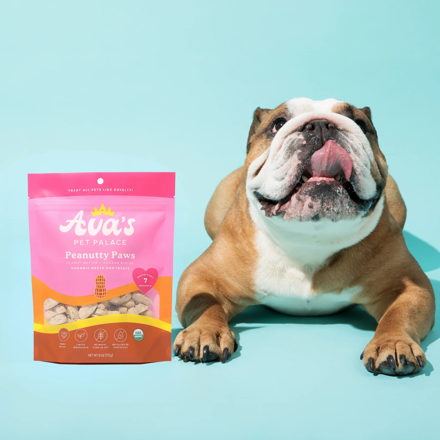 Ava's Pet Palace Peanutty Paws review featuring a happy dog next to the treat bag on a teal background