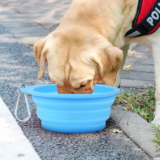Outdoor Dog Folding Bowl Silicone Pet Bowl Drinking And