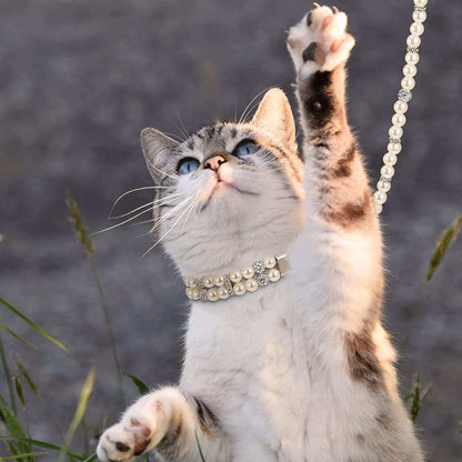 Dog Collar Leash Set Pearl 2 Pcs Necklace PU Leather 💎