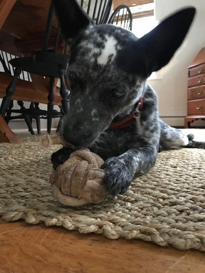 Huggle-Hide® Natural Leather Ball Dog Toy, 2 Pack