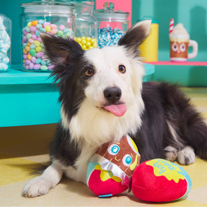 Easter Cadfurry Eggs Dog Toy Set - 2 Pk