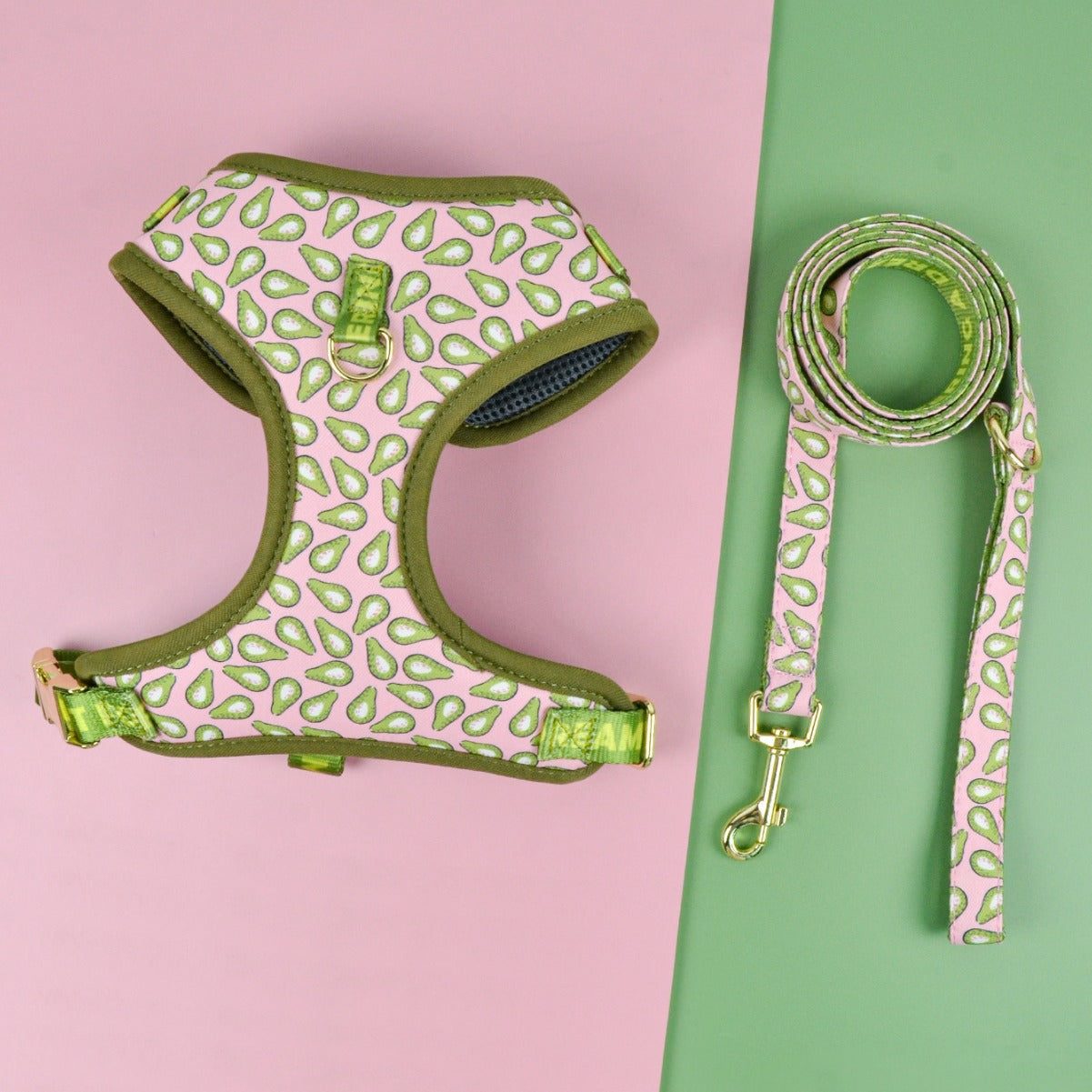 Summer Cute Pet's Chest-back Haulage Rope Package Suitable