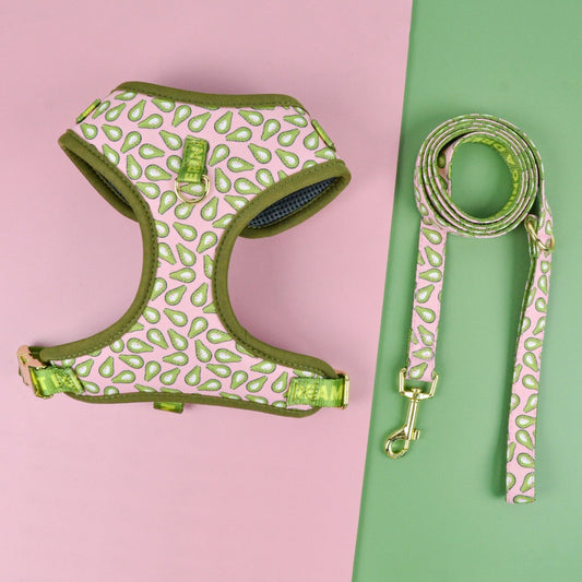 Summer Cute Pet's Chest-back Haulage Rope Package Suitable