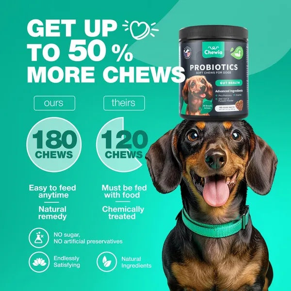 Dog Probiotic Chews - Digestive Enzymes for Gut & Immunity
