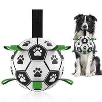 Interactive Football Ball Dog Toy