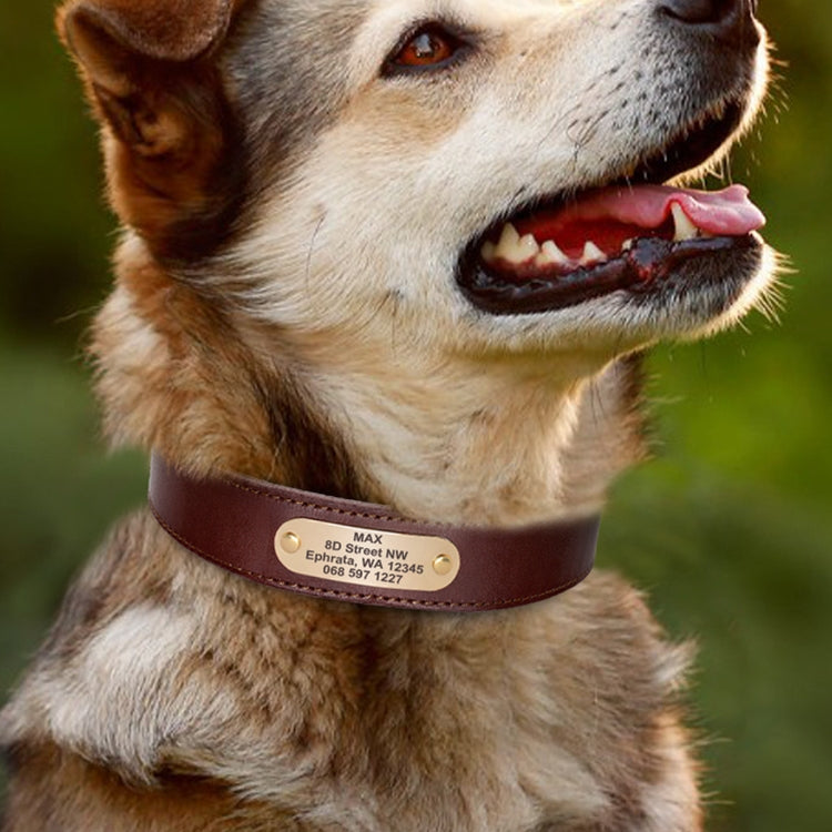 Artisan Full Grain Leather Dog Collar With Custom Engraving