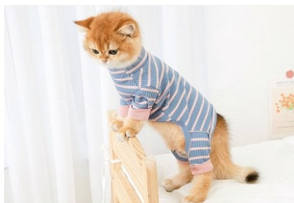 Clothes Ins Puppet Cat British Short Cat Cat Anti-hair Shed