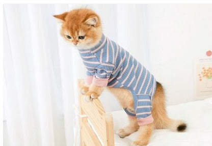 Clothes Ins Puppet Cat British Short Cat Cat Anti-hair Shed