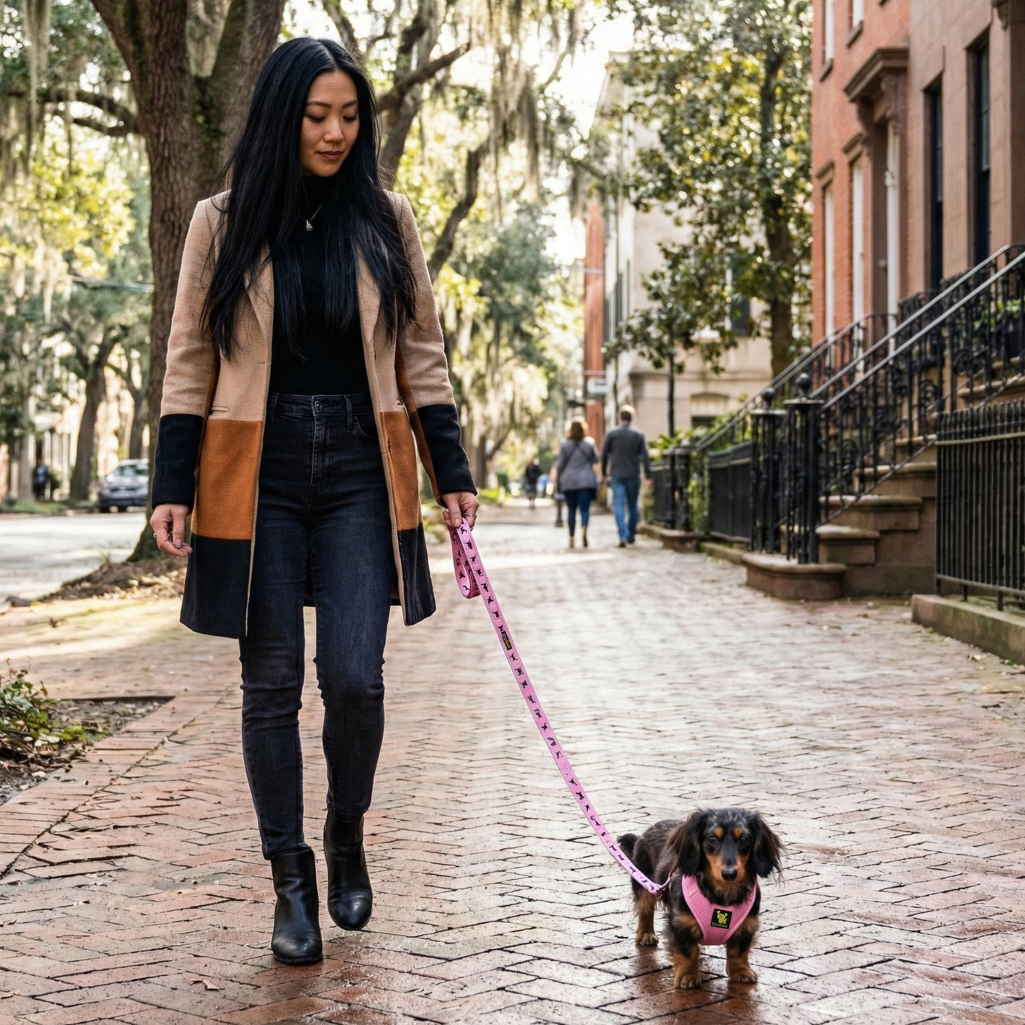 Eco Style Dog Leash for Daily Walks for Royal Pet Homes - Dog Leash view 8 from Purrfect Pet Kingdom