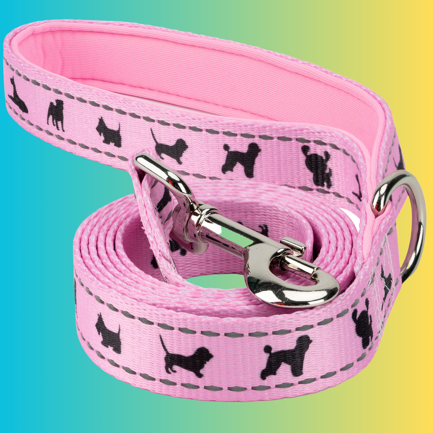 Eco Style Dog Leash for Daily Walks for Royal Pet Homes - Dog Leash view 14 from Purrfect Pet Kingdom