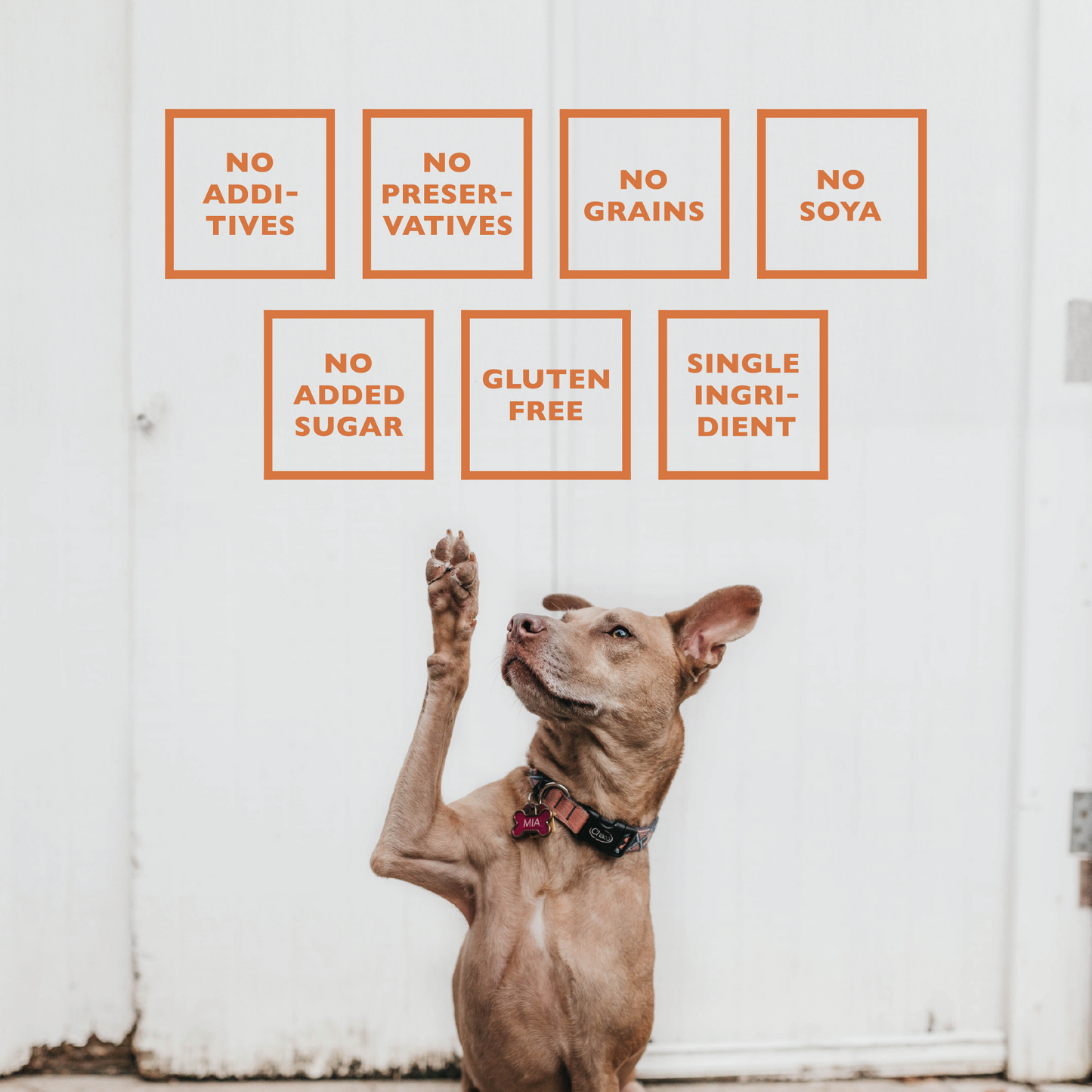 Baffs Natural Dog Treats from Purrfect Pet Kingdom promoting grain free dog treats no additives with clear benefit labels