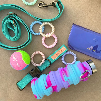 Dog Leash Hemp Cotton Sustainable Blue 🦮