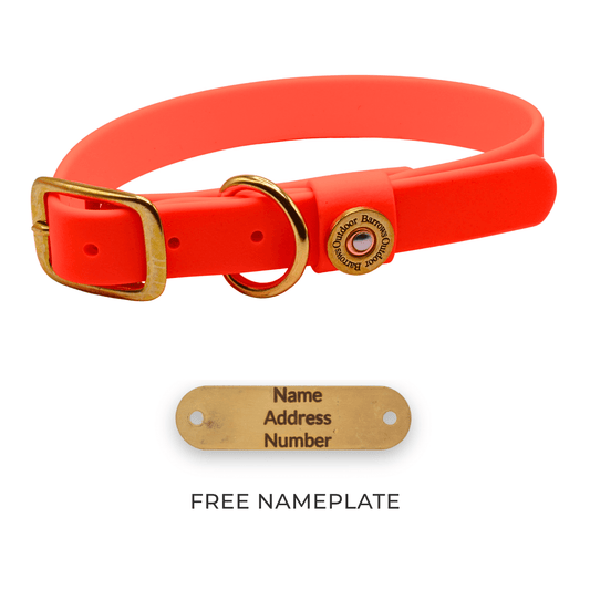 Barrows Dog Collar - Orange | Purrfect Pet Kingdom