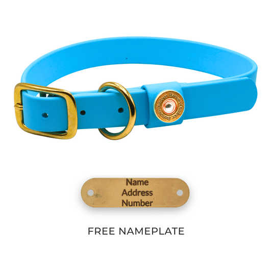Barrows Dog Collar - Teal | Purrfect Pet Kingdom