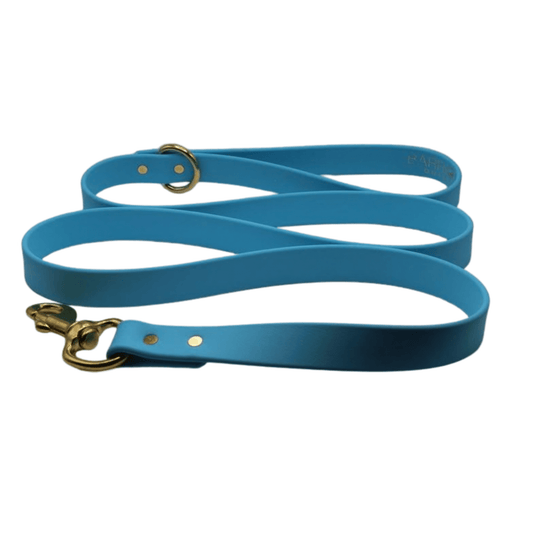 Barrows Dog Leash - Teal | Purrfect Pet Kingdom