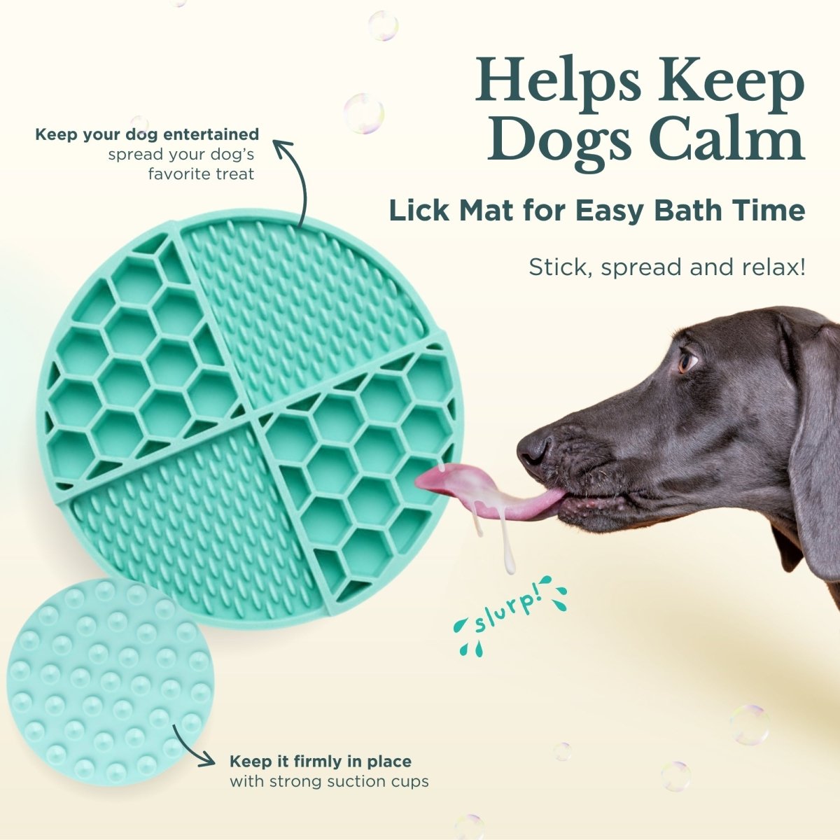 Bath Kit for Dogs ? Grooming Set