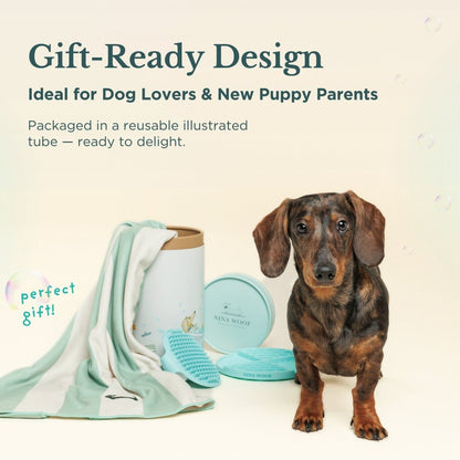 Bath Kit for Dogs ? Grooming Set