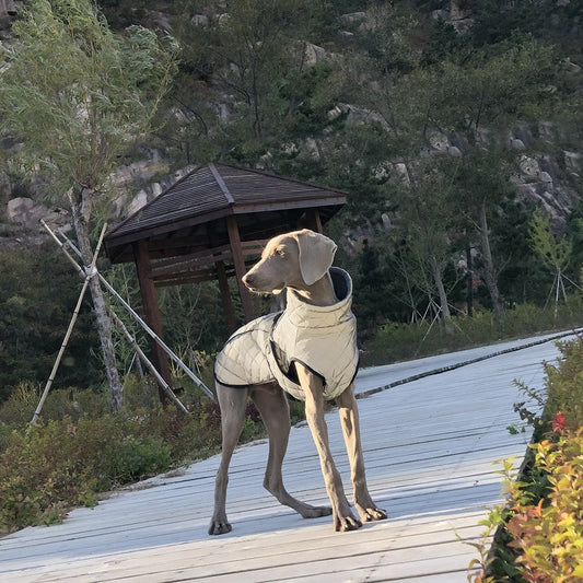 Pet Clothing Full-body Reflective Tactical Jacket For Dogs