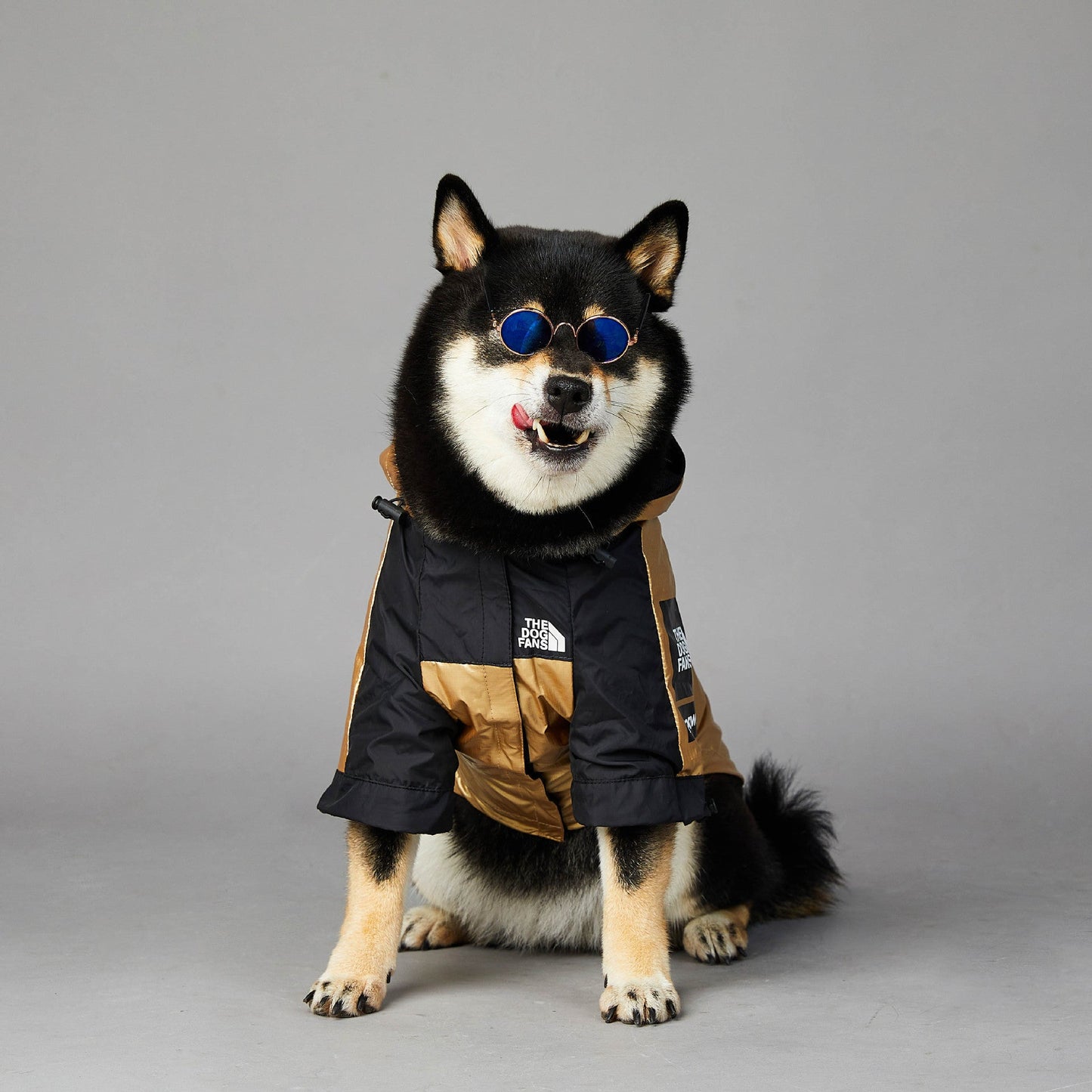 Dog Raincoat – Hooded Waterproof Jacket for All Weather