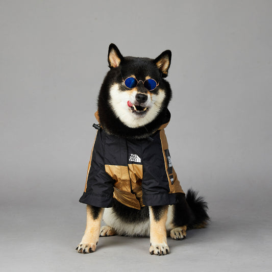 Large Dog Raincoat - Waterproof Pet Jacket with Hood