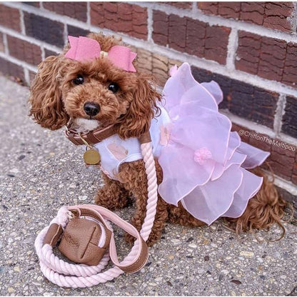 Poise Pup Bella Rose Brown and Pink Luxury Dog Collar