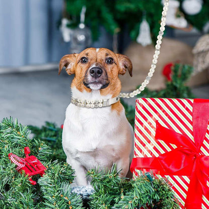 Dog Collar Leash Set Pearl 2 Pcs Necklace PU Leather 💎