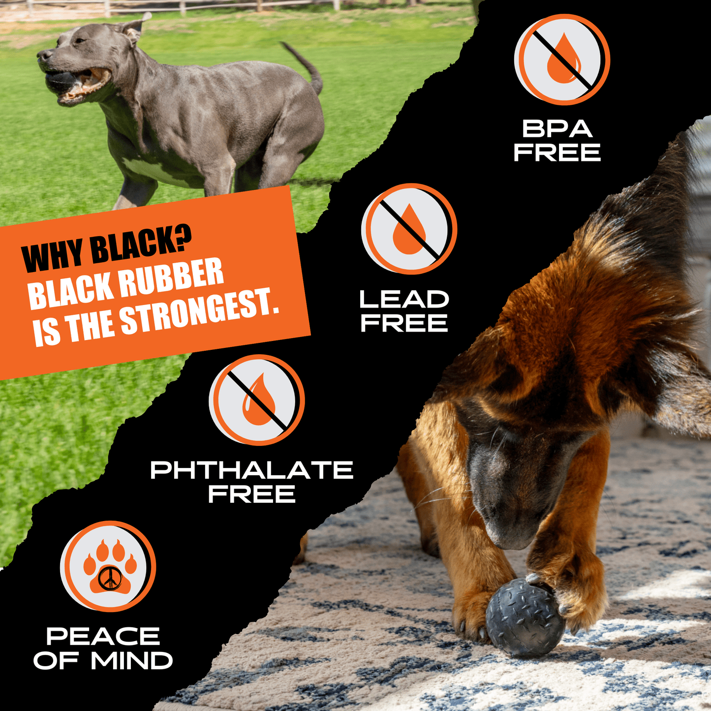 Monster K9 Beast Ball Dog Toy 🏀