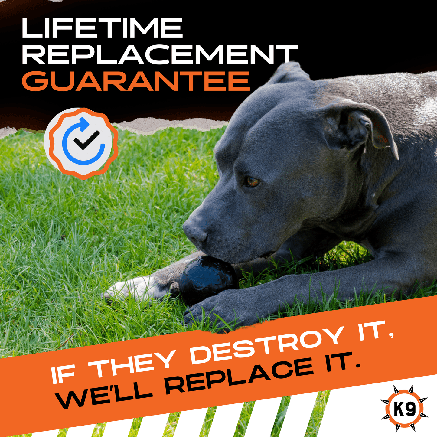 Monster K9 Beast Ball Dog Toy 🏀