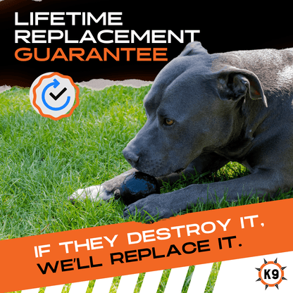 Monster K9 Beast Ball Dog Toy 🏀