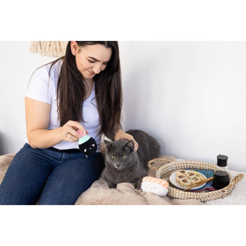 Soy Sauce and Sushi Cat Toy Set - 2pc