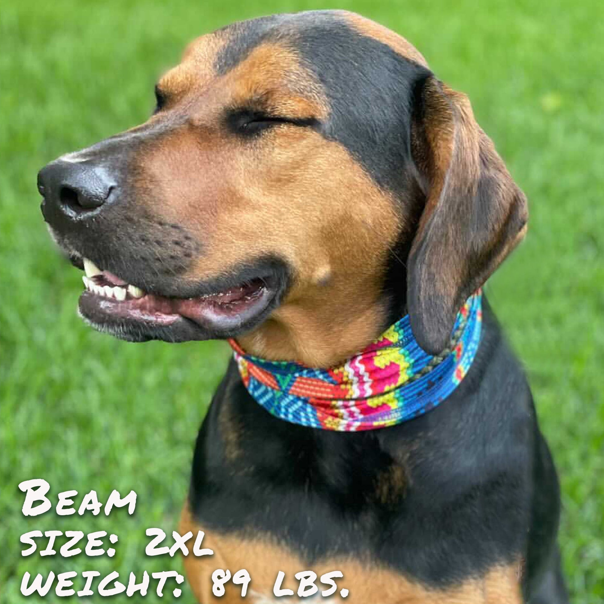 Dog wearing a colorful Tail Chasers bandana, with a Bedouin Paws Pup Scruff review showcased