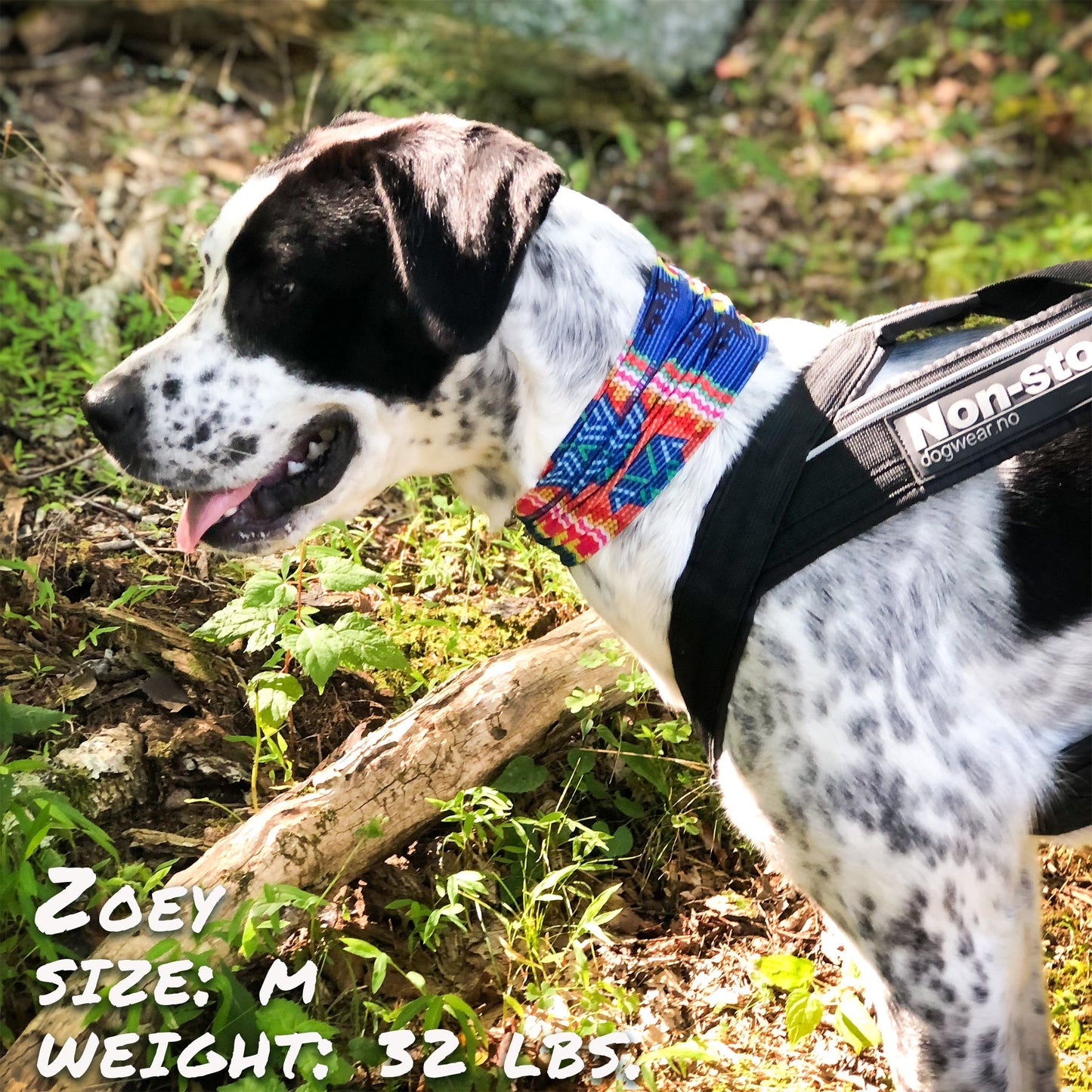 Tail Chasers Dog Bandana featuring colorful designs, perfect for stylish pups - Bedouin Paws Pup Scruff review