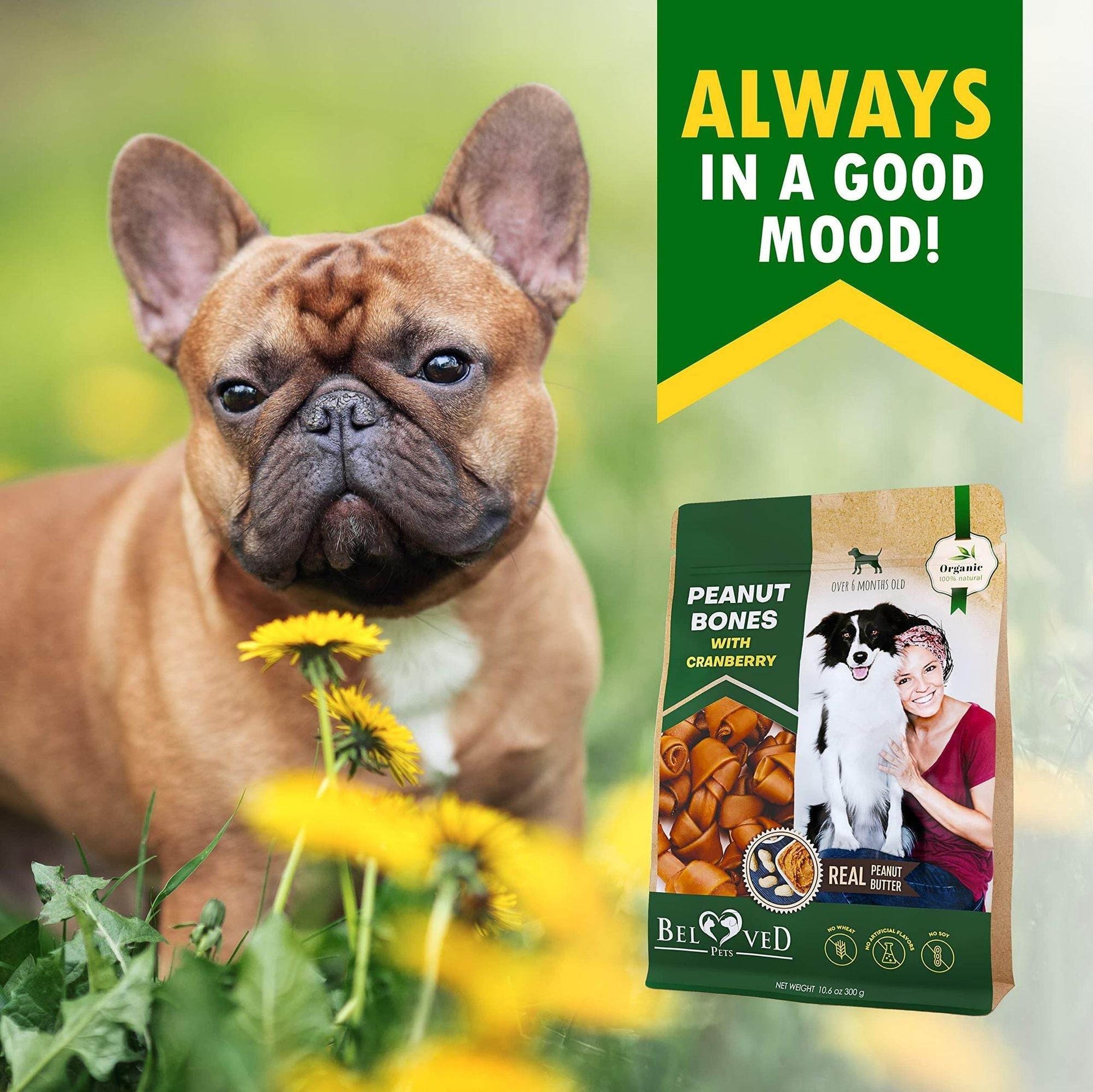 Purrfect Pet Kingdom Peanut Butter Dog Chews Training Treats Purrfect Pet Kingdom