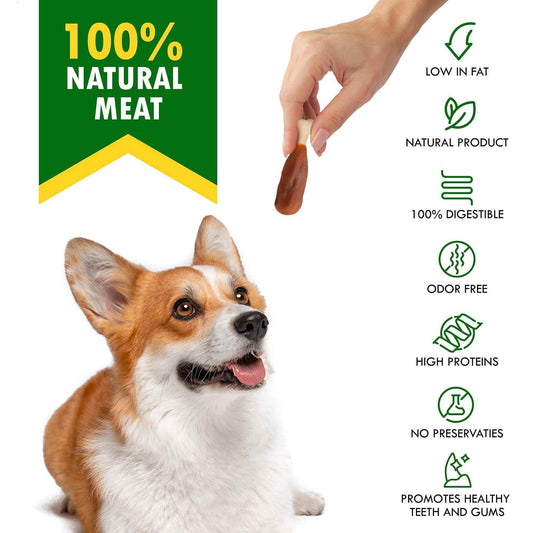 Purrfect Pet Kingdom Healthy Chicken Dog Treats - Calcium Bones Purrfect Pet Kingdom