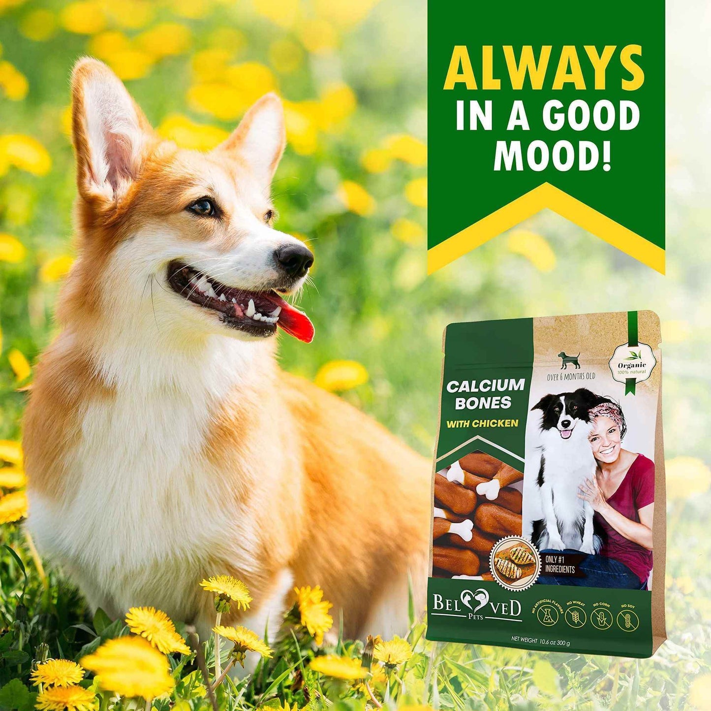 Purrfect Pet Kingdom Healthy Chicken Dog Treats - Calcium Bones Purrfect Pet Kingdom
